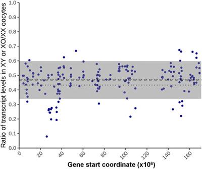 Effects of the Sex Chromosome Complement, XX, XO, or XY, on the Transcriptome and Development of Mouse Oocytes During Follicular Growth